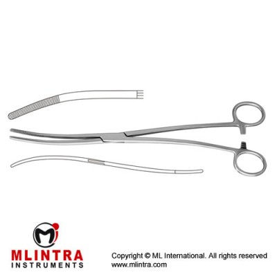 Bozemann Sponge Holding Forcep Curved S Shaped Stainless Steel, 26 cm - 10 1/4"